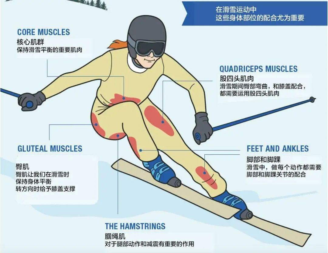 医生提醒及时治疗骨科专家温馨提示滑雪运动安全不可少