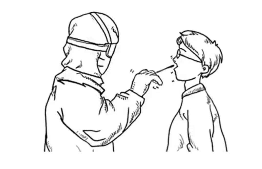 标本转运箱怎么消毒一图秒懂！一份核酸报告是这样诞生的......_https://www.jmylbn.com_新闻资讯_第1张