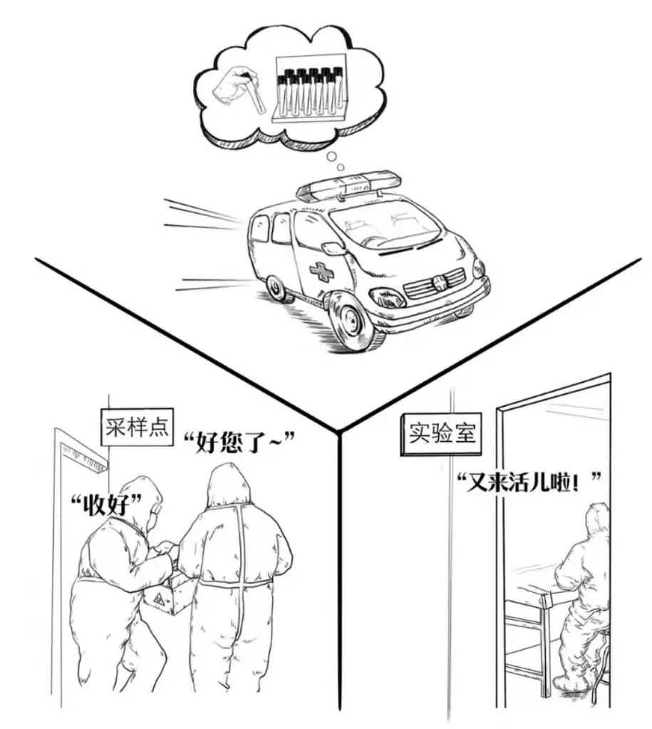 标本转运箱怎么消毒一图秒懂！一份核酸报告是这样诞生的......_https://www.jmylbn.com_新闻资讯_第2张