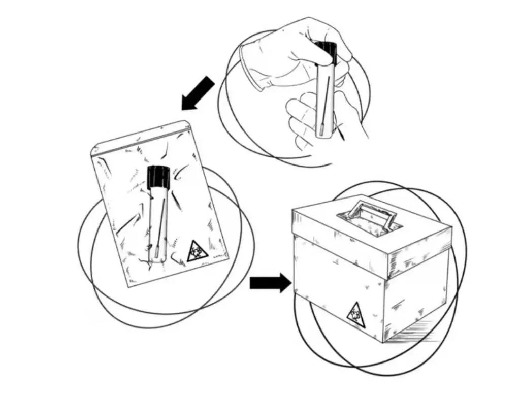 标本转运箱怎么消毒一图秒懂！一份核酸报告是这样诞生的......_https://www.jmylbn.com_新闻资讯_第3张