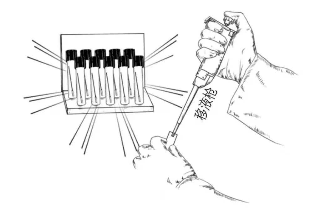 标本转运箱怎么消毒一图秒懂！一份核酸报告是这样诞生的......_https://www.jmylbn.com_新闻资讯_第7张