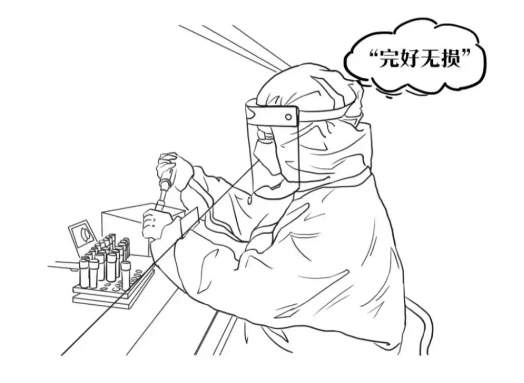 标本转运箱怎么消毒一图秒懂！一份核酸报告是这样诞生的......_https://www.jmylbn.com_新闻资讯_第8张