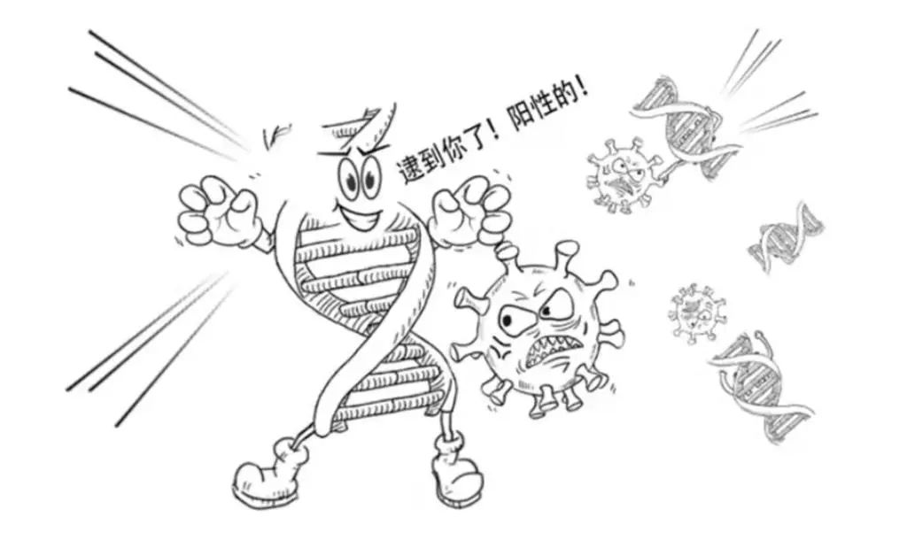 标本转运箱怎么消毒一图秒懂！一份核酸报告是这样诞生的......_https://www.jmylbn.com_新闻资讯_第10张