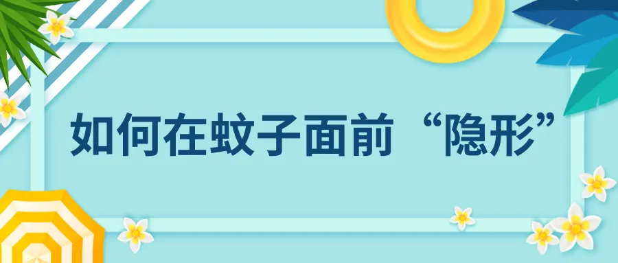 2.webp